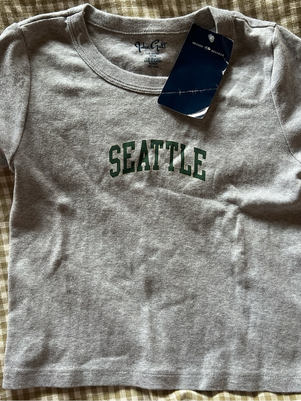 Brandy Melville 'Seattle' Grey Baby Tee with Green Print